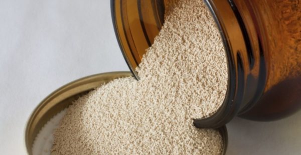 Биологически активные вещества, в частности пивные дрожжи, позволяют сбалансировать работу эндокринной системы