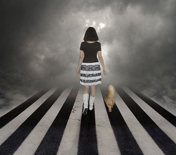 Черная полоса: что это такое? Причины возникновения черной полосы.