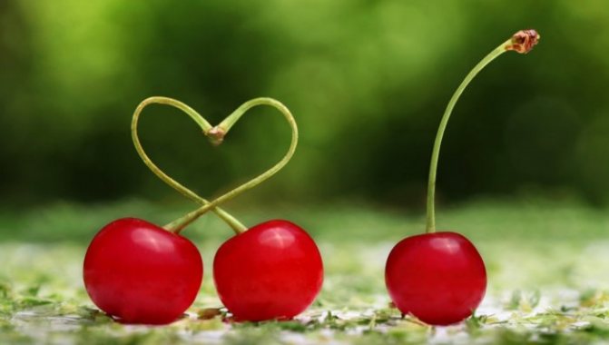 Муж завел любовницу, что делать?