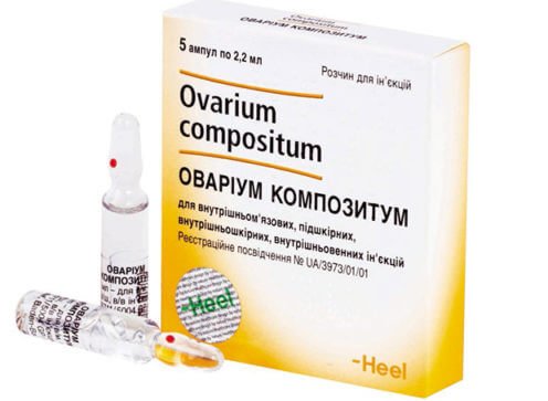 Овариум композитум